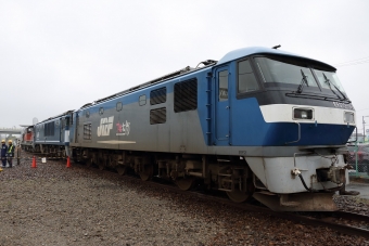JR貨物 EF210形 EF210-146 鉄道フォト・写真 by REDさん 稲沢駅：2019年06月09日00時ごろ