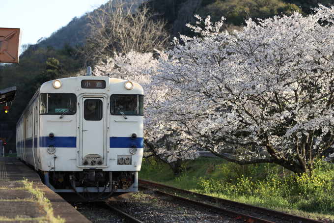 23日で終了。JR九州 日田彦山線のサボ2枚 23日で終了。JR九州 日田