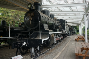 国鉄8620形蒸気機関車 8620 鉄道フォト・写真 by トレインさん 青梅駅：2021年08月21日10時ごろ