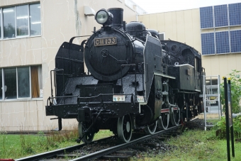 国鉄C11形蒸気機関車 C11 133 鉄道フォト・写真 by トレインさん 苫小牧駅：2021年08月25日11時ごろ