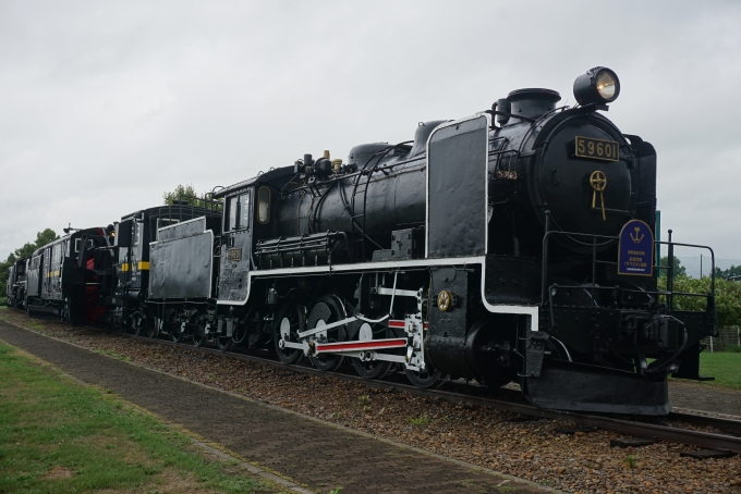 鉄道フォト・写真：国鉄9600形蒸気機関車 59601 名寄駅 鉄道フォト・写真 by トレインさん - 撮影日 2021/08/26 13:33