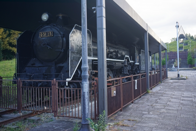 国鉄D51形蒸気機関車 D51 25 鉄道フォト・写真 by トレインさん 南ウッディタウン駅：2021年10月23日10時ごろ