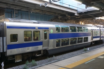 JR東日本 サロE530形 サロE530-1 鉄道フォト・写真 by トレインさん 品川駅 (JR)：2021年11月20日15時ごろ
