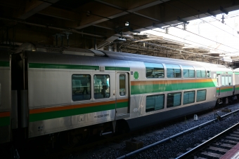 JR東日本 サロE233形 サロE233-3021 鉄道フォト・写真 by トレインさん 上野駅 (JR)：2021年12月03日11時ごろ