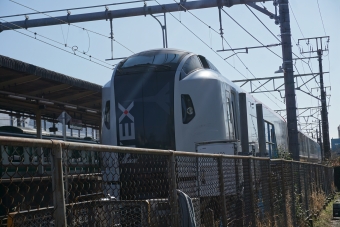 JR東日本 クロE259形 クロE259-2 鉄道フォト・写真 by トレインさん 鎌倉駅 (JR)：2022年01月16日12時ごろ
