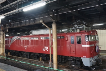 国鉄EF81形電気機関車 カシオペア紀行(特急) EF81 98 鉄道フォト・写真 by トレインさん 上野駅 (JR)：2022年03月05日16時ごろ
