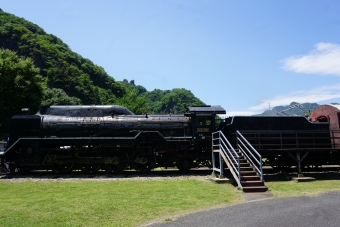 国鉄D51形蒸気機関車 D51 96 鉄道フォト・写真 by トレインさん 横川駅 (群馬県)：2022年06月25日11時ごろ