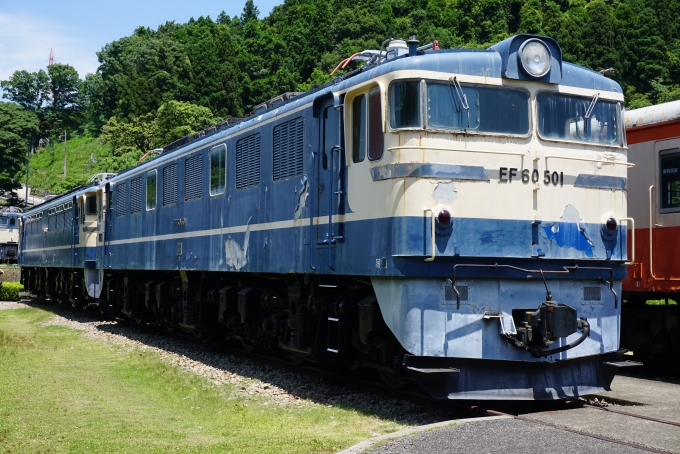 国鉄EF60形電気機関車 EF60 501 鉄道フォト・写真 by トレインさん 横川駅 (群馬県)：2022年06月25日11時ごろ