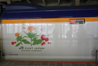 JR東日本 E311形(M1sc) つばさ(新幹線) E311-2008 鉄道フォト・写真 by トレインさん 大宮駅 (埼玉県|JR)：2022年07月02日10時ごろ