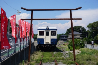 キハ20形 鉄道フォト・写真