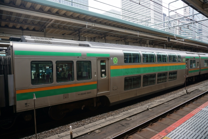 JR東日本 サロE230形 サロE230-1001 鉄道フォト・写真 by トレインさん 東京駅 (JR)：2022年08月15日12時ごろ