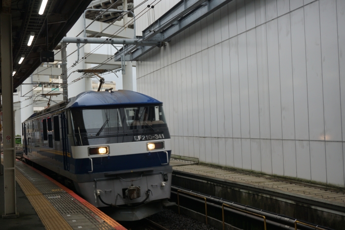 JR貨物 EF210形 EF210-341 鉄道フォト・写真 by トレインさん 千葉駅 (JR)：2022年09月24日15時ごろ
