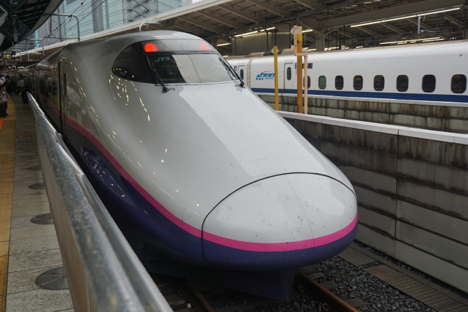 JR東日本 E223形(T1c) E223-1023 鉄道フォト・写真 by トレインさん 東京駅 (JR)：2019年09月16日13時ごろ