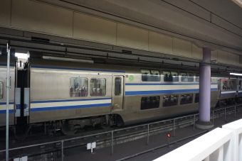 サロE217-14 鉄道フォト・写真