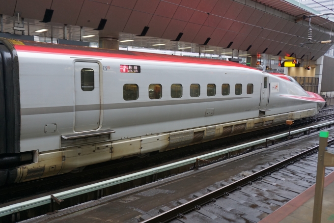 JR東日本 E621形(M1c) こまち(新幹線) E621-7 鉄道フォト・写真 by トレインさん 東京駅 (JR)：2023年02月13日15時ごろ