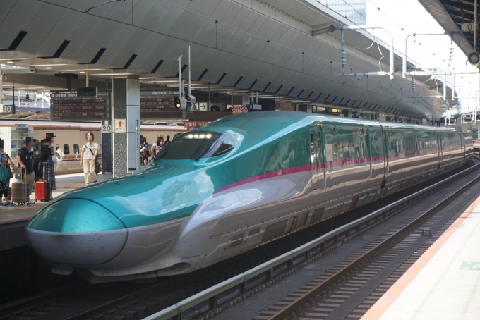 JR東日本 E523形(T1c) やまびこ(新幹線) E523-5 鉄道フォト・写真 by トレインさん 東京駅 (JR)：2023年09月10日14時ごろ