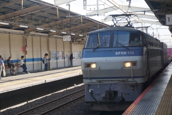 国鉄EF66形電気機関車 EF66 118 鉄道フォト・写真 by トレインさん 南越谷駅：2023年10月20日11時ごろ