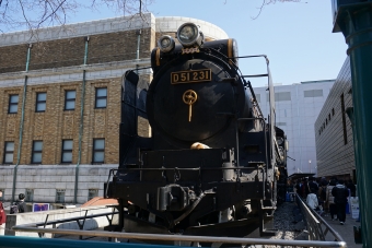 国鉄D51形蒸気機関車 D51 231 鉄道フォト・写真 by トレインさん 上野駅 (JR)：2020年02月24日13時ごろ