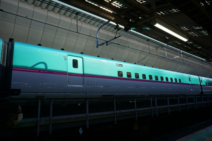 JR東日本 E525形(M1k) はやぶさ(新幹線) E525-448 鉄道フォト・写真 by トレインさん 東京駅 (JR)：2024年01月27日09時ごろ