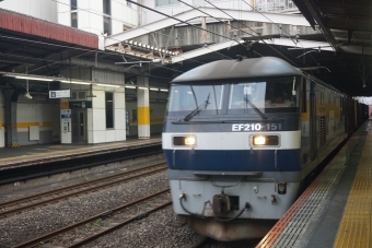 JR貨物 EF210形 EF210-151 鉄道フォト・写真 by トレインさん 新秋津駅：2024年06月01日17時ごろ