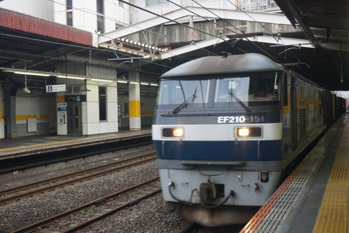 JR貨物 EF210形 EF210-151 鉄道フォト・写真 by トレインさん 新秋津駅：2024年06月01日17時ごろ
