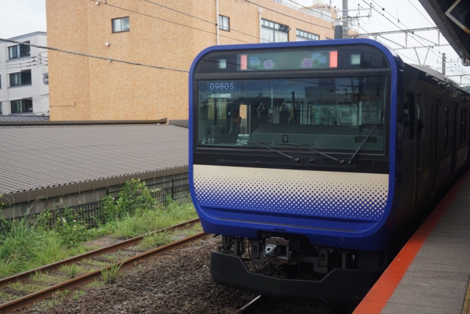 鉄道フォト・写真：JR東日本E235系電車 クハE234-1117 鎌倉駅 (JR) 鉄道フォト・写真 by トレインさん - 撮影日 2024/06/30 09:42