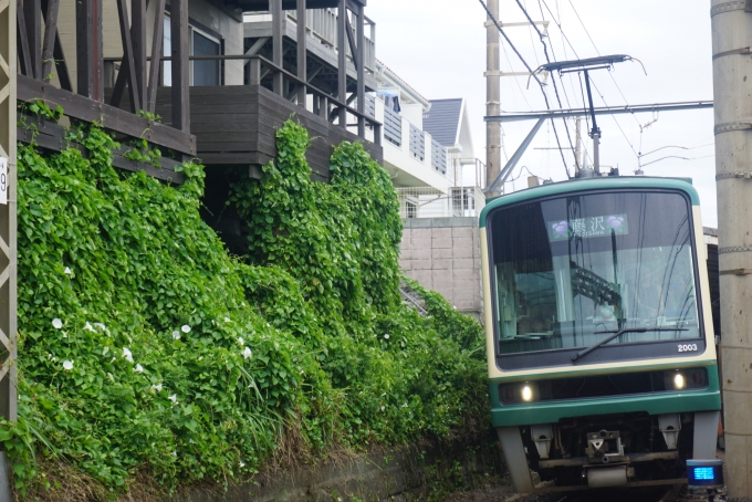 鉄道フォト・写真：江ノ島電鉄2000形電車 2003 七里ヶ浜駅 鉄道フォト・写真 by トレインさん - 撮影日 2024/06/30 12:30