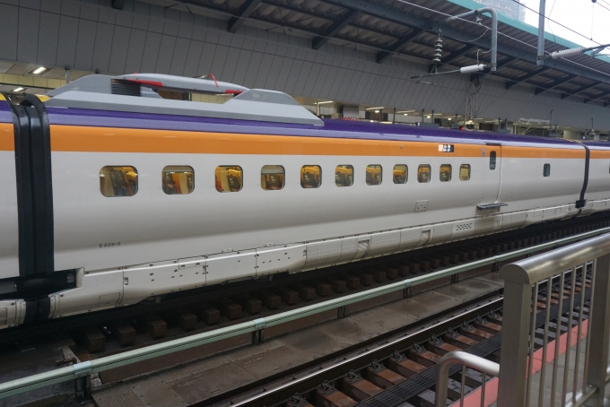 鉄道フォト・写真：JR東日本 E8系新幹線電車 つばさ E828-5 東京駅 (JR) 鉄道フォト・写真 by トレインさん - 撮影日 2024/07/16 16:48