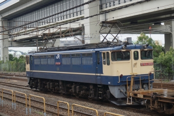 JR貨物 国鉄EF65形電気機関車 EF65-2066 鉄道フォト・写真 by トレインさん 根岸駅 (神奈川県)：2020年07月03日14時ごろ
