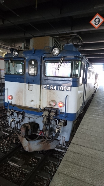 JR貨物 国鉄EF64形電気機関車 鉄道フォト・写真 by トレインさん 長野駅 (JR)：2018年06月24日08時ごろ