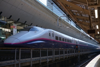 JR東日本 E224形(T2c) とき(新幹線) E224-1106 鉄道フォト・写真 by トレインさん 東京駅 (JR)：2021年01月31日11時ごろ
