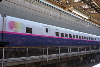 JR東日本 E215形(Ms) とき(新幹線) E215-1006 鉄道フォト・写真 by トレインさん 東京駅 (JR)：2021年01月31日11時ごろ