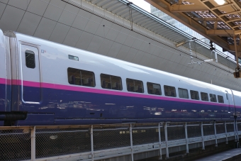 JR東日本 E226形(M2) とき(新幹線) E226-1406 鉄道フォト・写真 by トレインさん 東京駅 (JR)：2021年01月31日11時ごろ