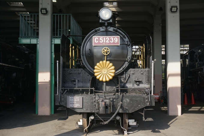 国鉄C51形蒸気機関車 C51 239 鉄道フォト・写真 by トレインさん 梅小路京都西駅：2021年03月27日15時ごろ