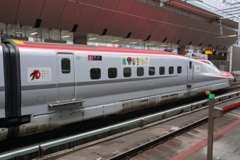 JR東日本 E621形(M1c) E621-17 鉄道フォト・写真 by トレインさん 東京駅 (JR)：2021年06月15日11時ごろ
