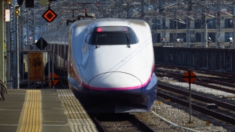 JR東日本E2系新幹線 たにがわ(新幹線) 鉄道フォト・写真 by thorchanさん 高崎駅 (JR)：2018年06月25日06時ごろ
