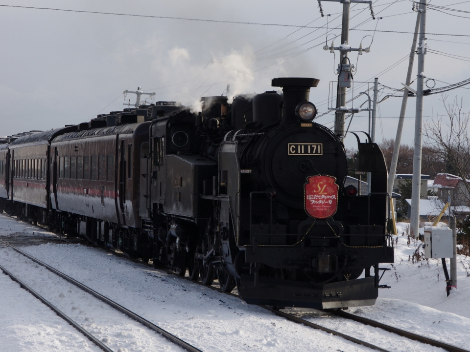 鉄道フォト・写真(拡大)：JR北海道 国鉄C11形蒸気機関車 SLはこだてクリスマスファンタジー号 C11 171 大中山駅 鉄道フォト・写真 by parurunさん - 撮影日 2010/12/18 13:57