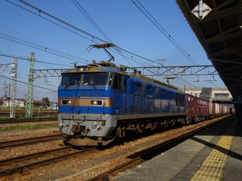 JR貨物 EF510形 EF510-501 鉄道フォト・写真 by parurunさん 新津駅：2016年11月05日10時ごろ