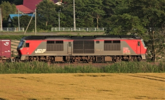 JR貨物 DF200形 DF200-104 鉄道フォト・写真 by カズ坊さん ：2021年07月09日17時ごろ