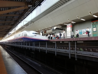 JR東日本 E453形 Maxとき(新幹線) E453-115 鉄道フォト・写真 by Scarlet Trainさん 東京駅 (JR)：2018年07月20日16時ごろ