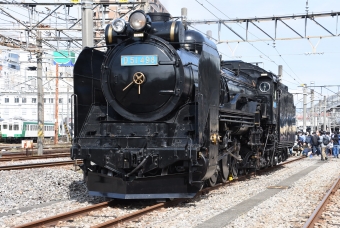 JR東日本 国鉄D51形蒸気機関車 D51　498 鉄道フォト・写真 by おなだいさん 高崎駅 (JR)：2018年10月13日10時ごろ
