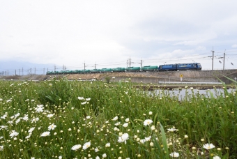 JR貨物 EH200形 EH200-5 鉄道フォト・写真 by おなだいさん みどり湖駅：2021年05月05日10時ごろ
