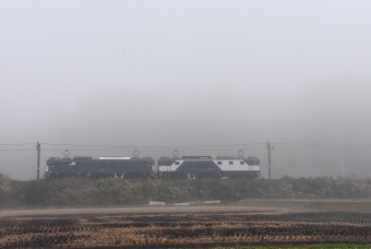 JR貨物 国鉄EF64形電気機関車 EF64-1020 鉄道フォト・写真 by おなだいさん 坂北駅：2021年10月30日07時ごろ