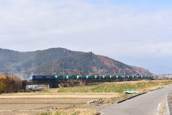 JR貨物 EH200形 EH200-8 鉄道フォト・写真 by おなだいさん みどり湖駅：2021年11月20日10時ごろ