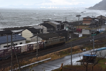 JR貨物 EF510形 EF510-509 鉄道フォト・写真 by おなだいさん 谷浜駅：2021年11月28日11時ごろ