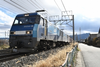 JR貨物 EH200形 EH200-19 鉄道フォト・写真 by おなだいさん 塩尻駅：2021年12月25日12時ごろ