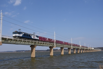 JR貨物 国鉄EF64形電気機関車 EF64　1003 鉄道フォト・写真 by おなだいさん 延方駅：2019年02月23日12時ごろ