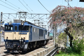 JR貨物 国鉄EF64形電気機関車 EF64-1042 鉄道フォト・写真 by おなだいさん 洗馬駅：2022年04月30日11時ごろ