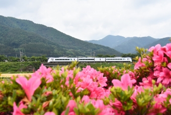 JR東日本E353系電車 信州 鉄道フォト・写真 by おなだいさん みどり湖駅：2022年06月11日10時ごろ