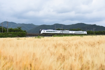 JR東日本 クモハE353形 信州 クモハE353-10 鉄道フォト・写真 by おなだいさん みどり湖駅：2022年06月11日14時ごろ